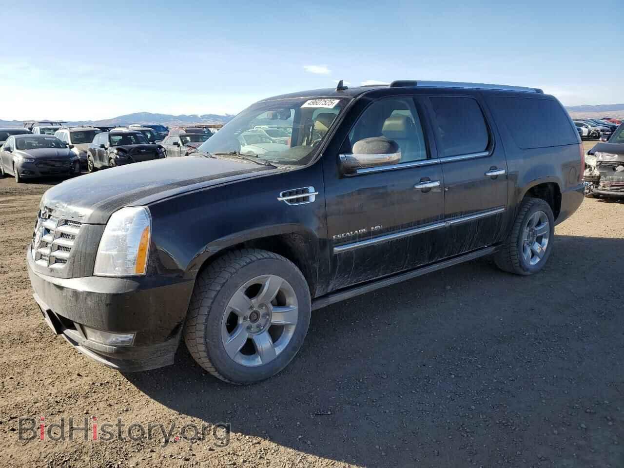Photo 1GYS4JEF4BR163078 - CADILLAC ESCALADE 2011