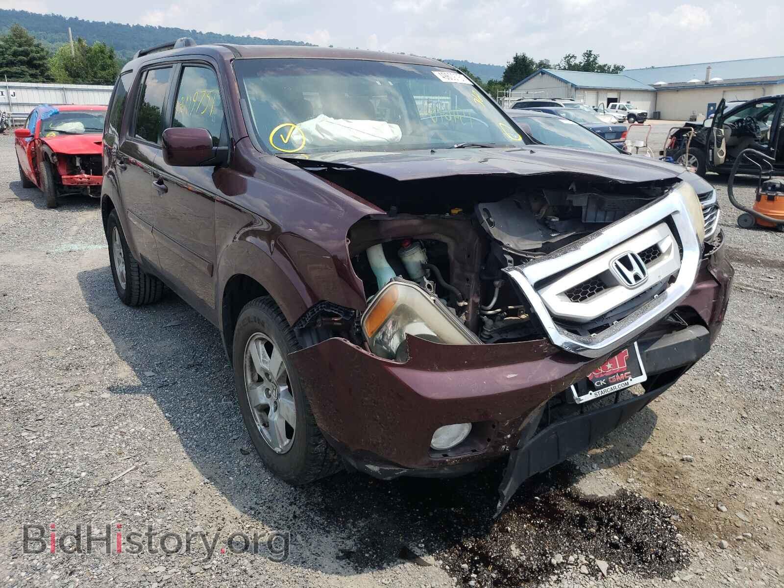 Фотография 5FNYF4H46BB048042 - HONDA PILOT 2011