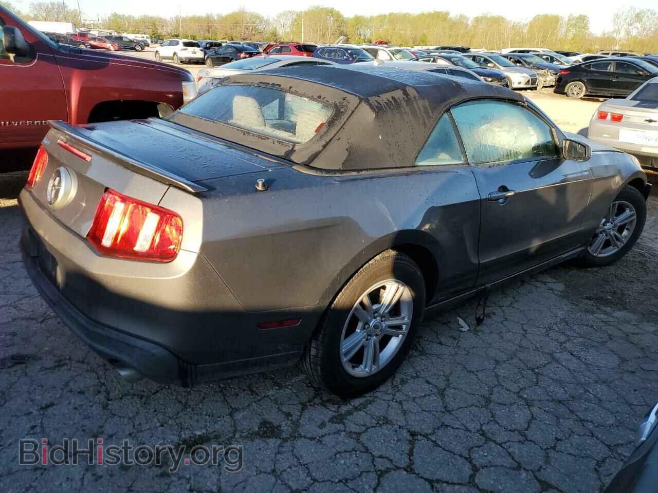 2011 FORD ALL Models - VIN: 1ZVBP8EM8B5161746 - Фото 3