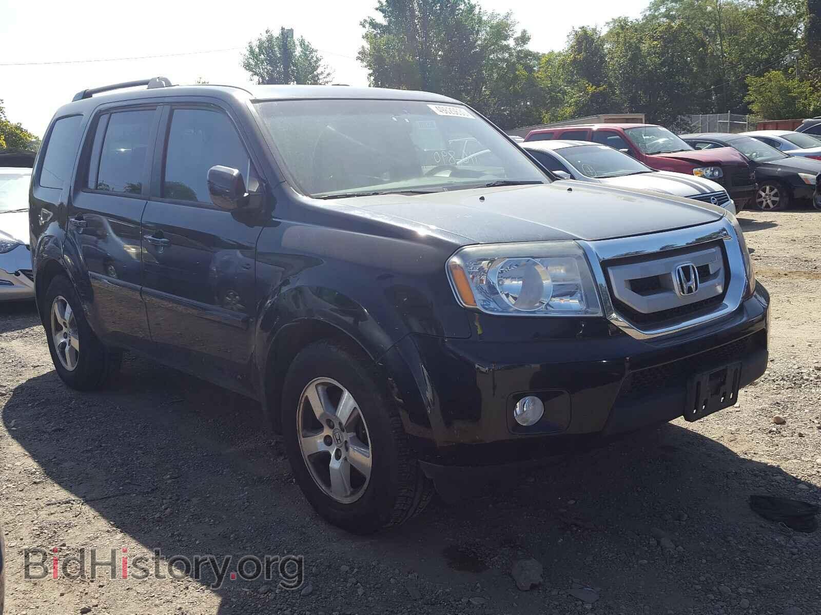Фотография 5FNYF4H53BB025004 - HONDA PILOT 2011