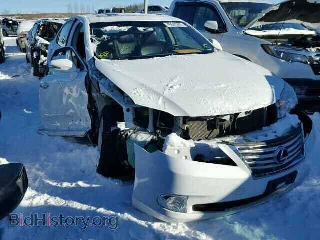Photo JTHBK1EGXA2399602 - LEXUS ES350 2010
