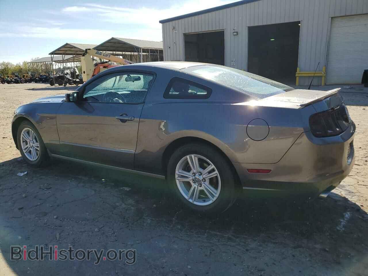 2013 FORD ALL Models - VIN: 1ZVBP8AMXD5249075 - Фото 2