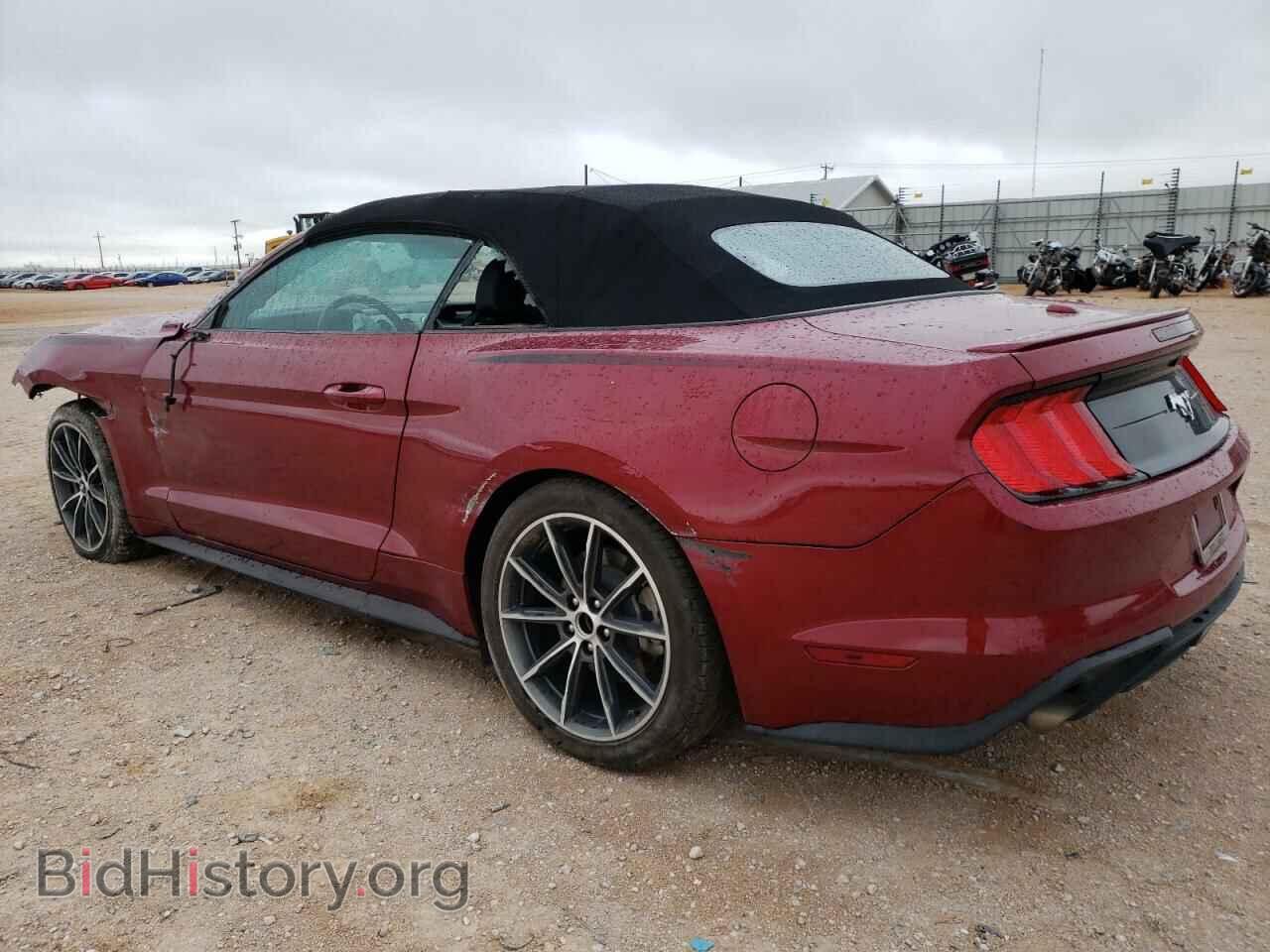 2019 FORD MUSTANG - VIN: 1FATP8UH8K5159481 - Фото 2