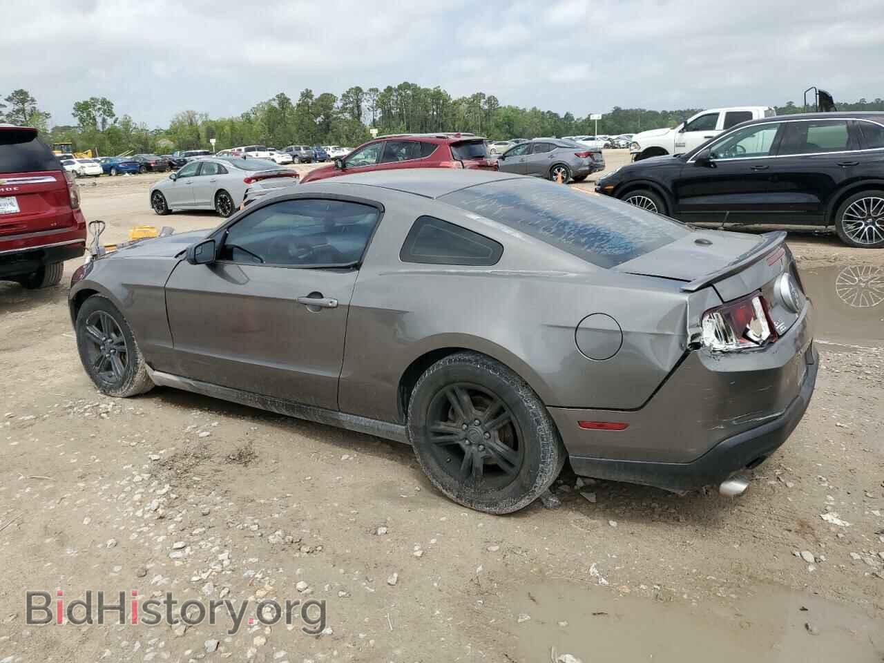2011 FORD ALL Models - VIN: 1ZVBP8AM3B5120849 - Фото 2