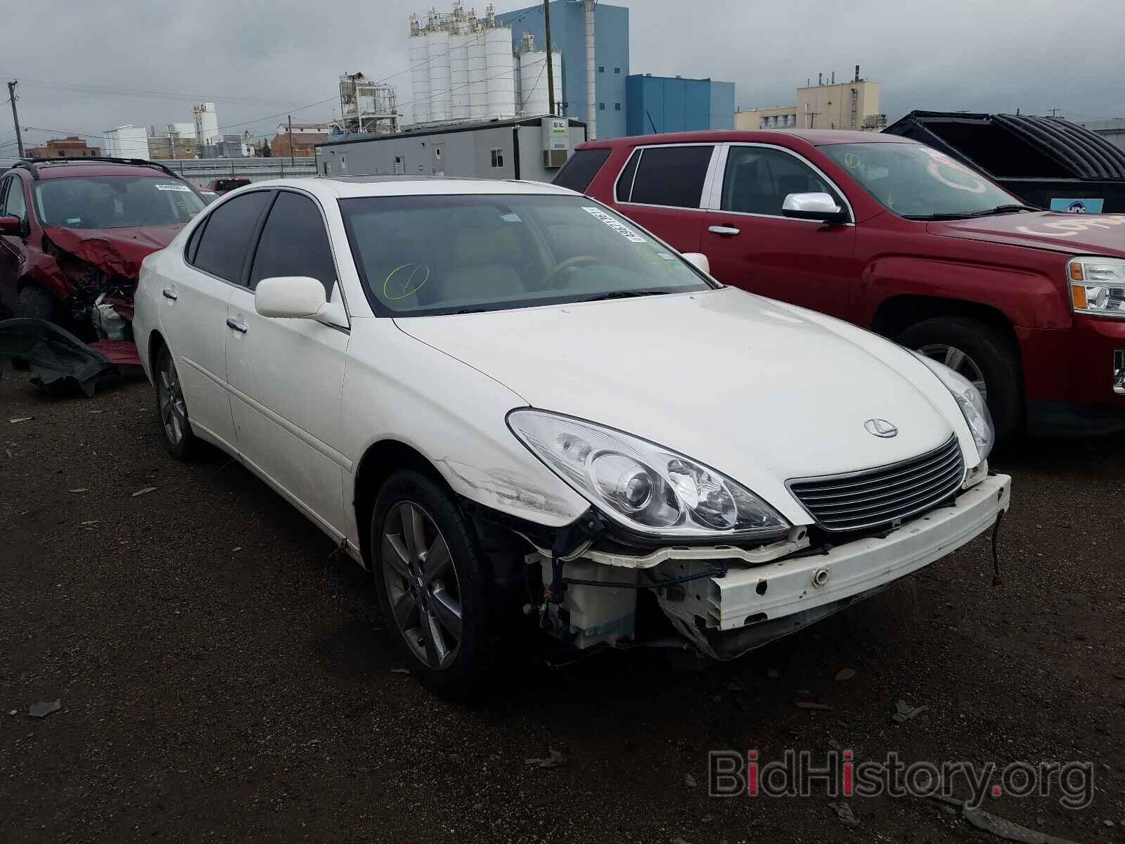 Фотография JTHBA30G865166457 - LEXUS ES330 2006