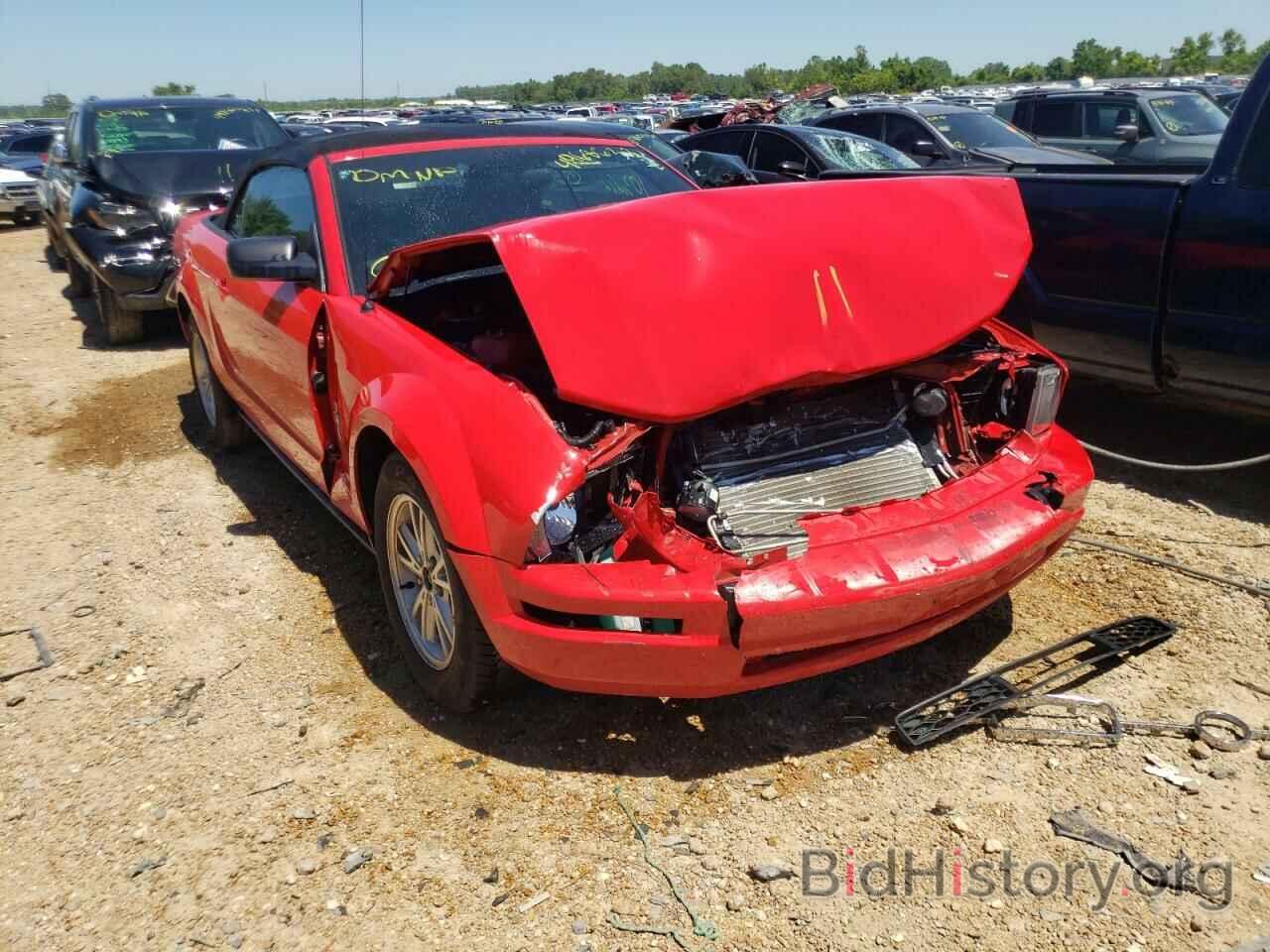 Photo 1ZVFT84NX65105773 - FORD MUSTANG 2006