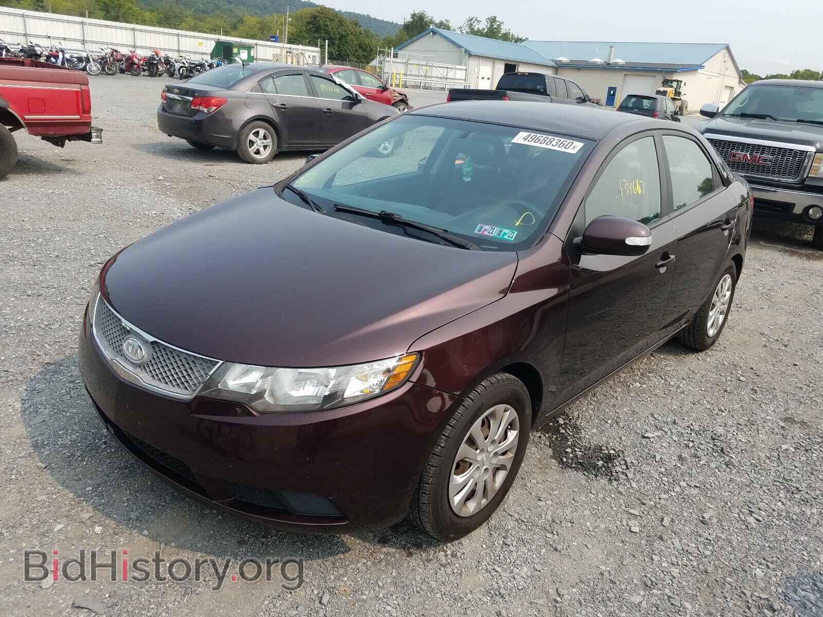 2010 KIA FORTE - VIN: KNAFU4A24A5169400 - Фото 2
