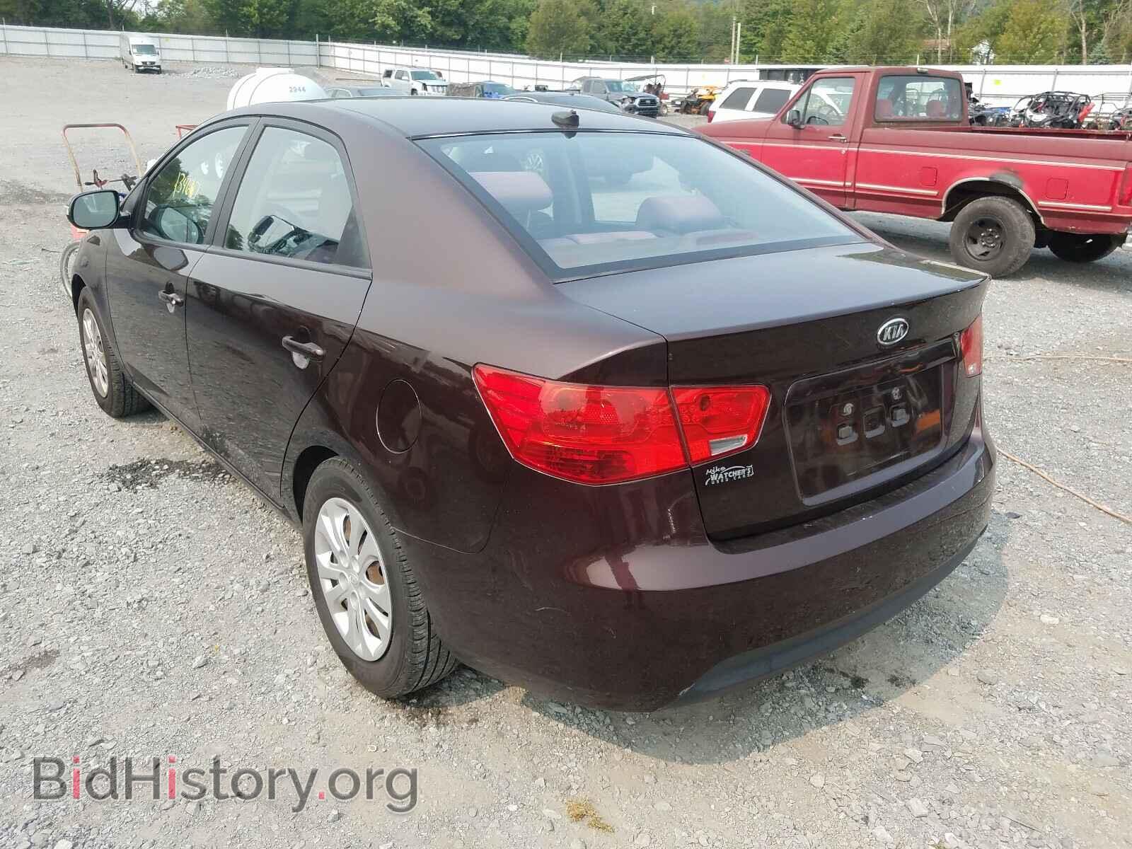 2010 KIA FORTE - VIN: KNAFU4A24A5169400 - Фото 3
