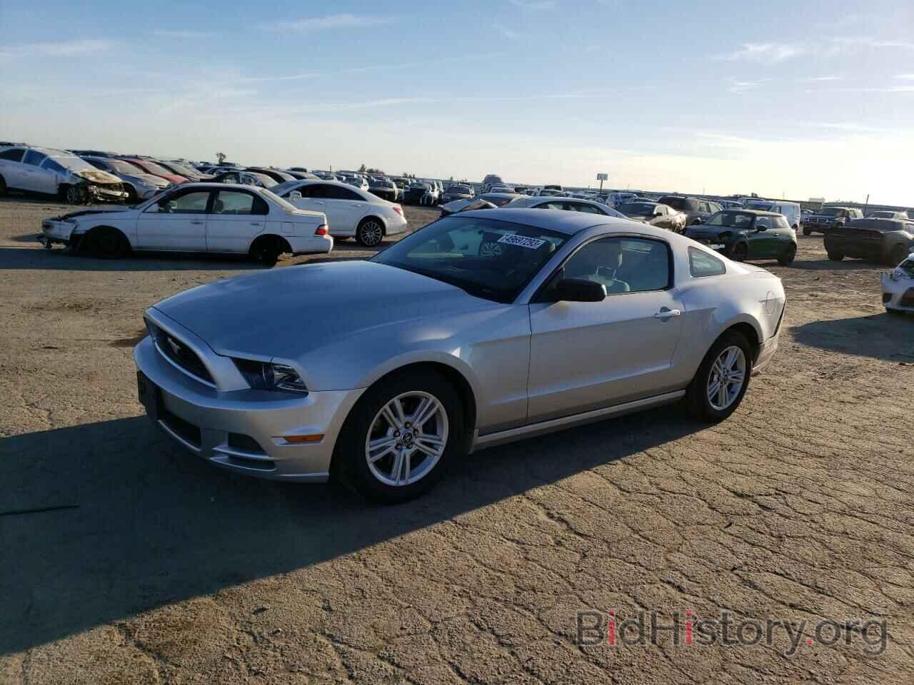 Photo 1ZVBP8AM7D5255576 - FORD MUSTANG 2013