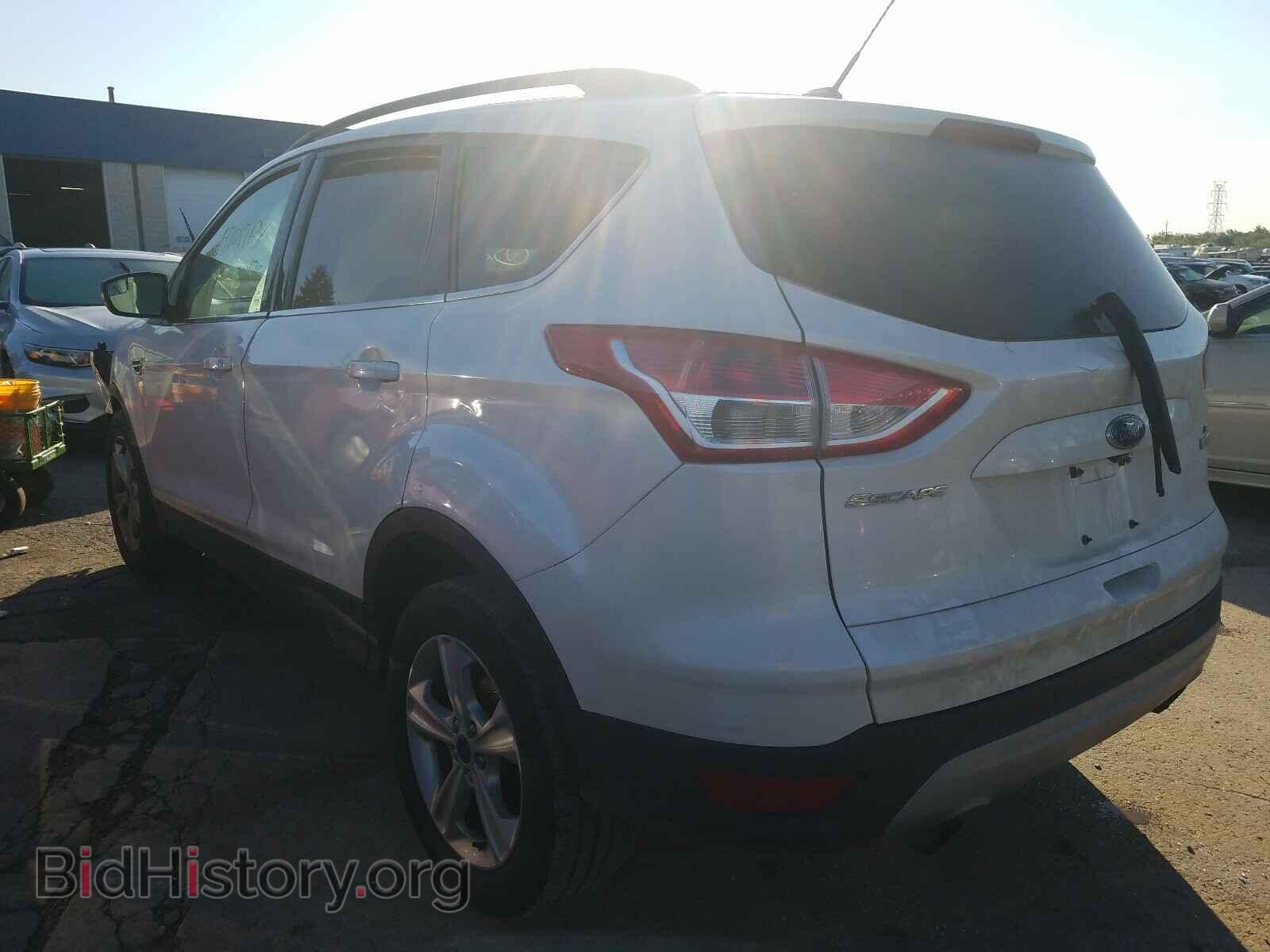 2014 FORD ESCAPE - VIN: 1FMCU0GX2EUB43340 - Фото 3
