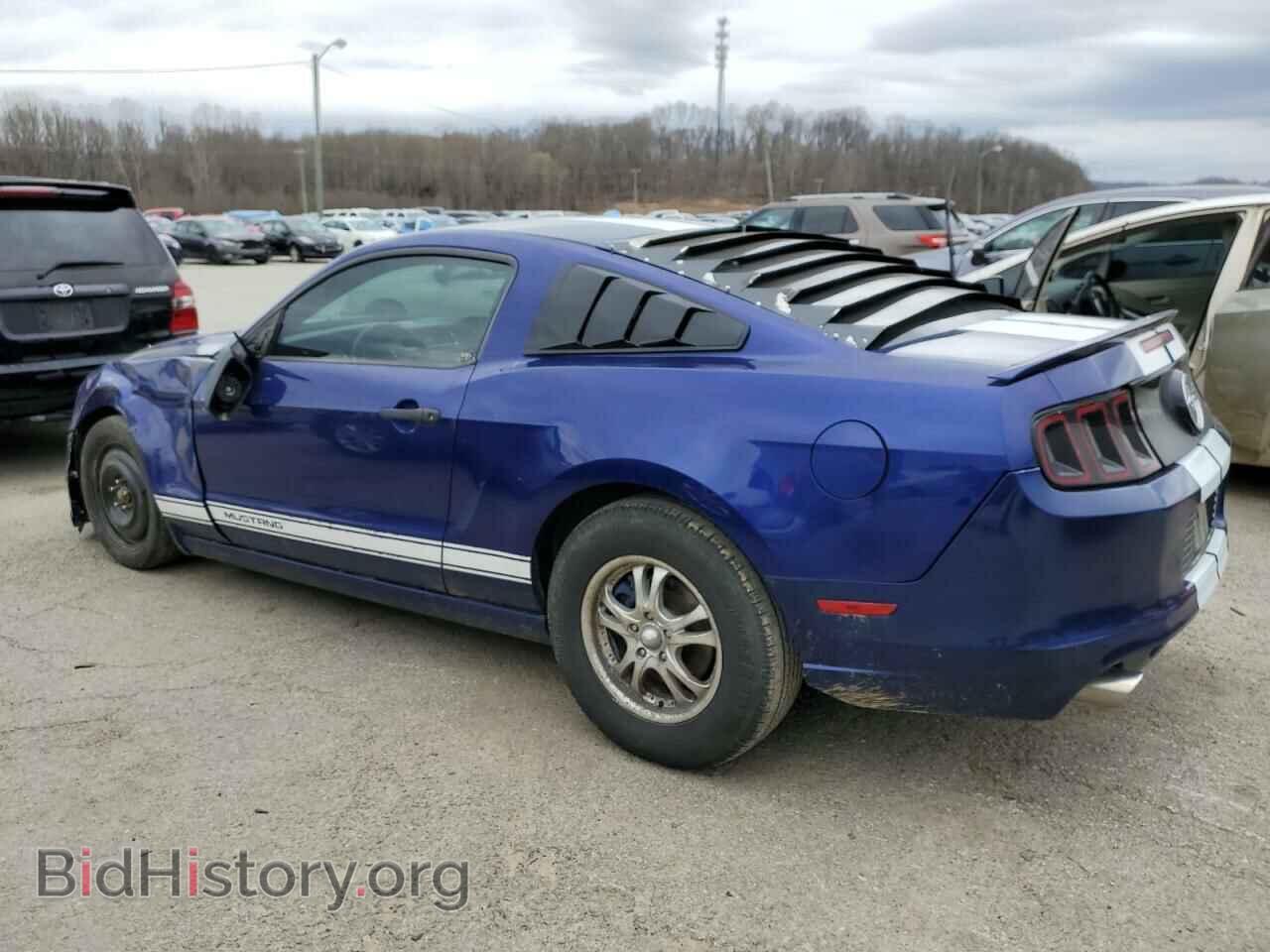 2013 FORD ALL Models - VIN: 1ZVBP8AM3D5253730 - Фото 2