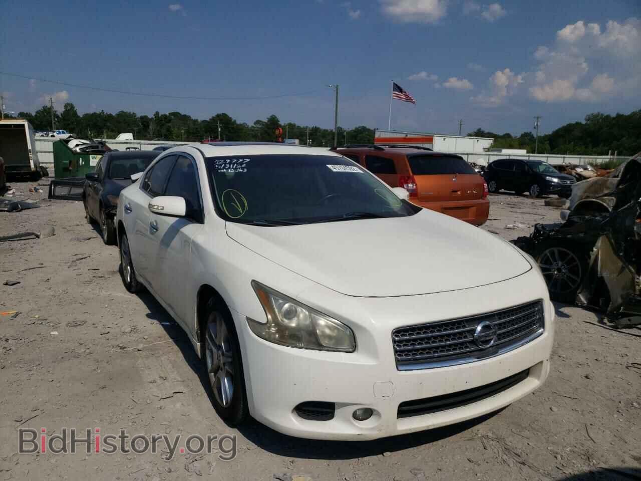 Фотография 1N4AA5AP1BC859437 - NISSAN MAXIMA 2011