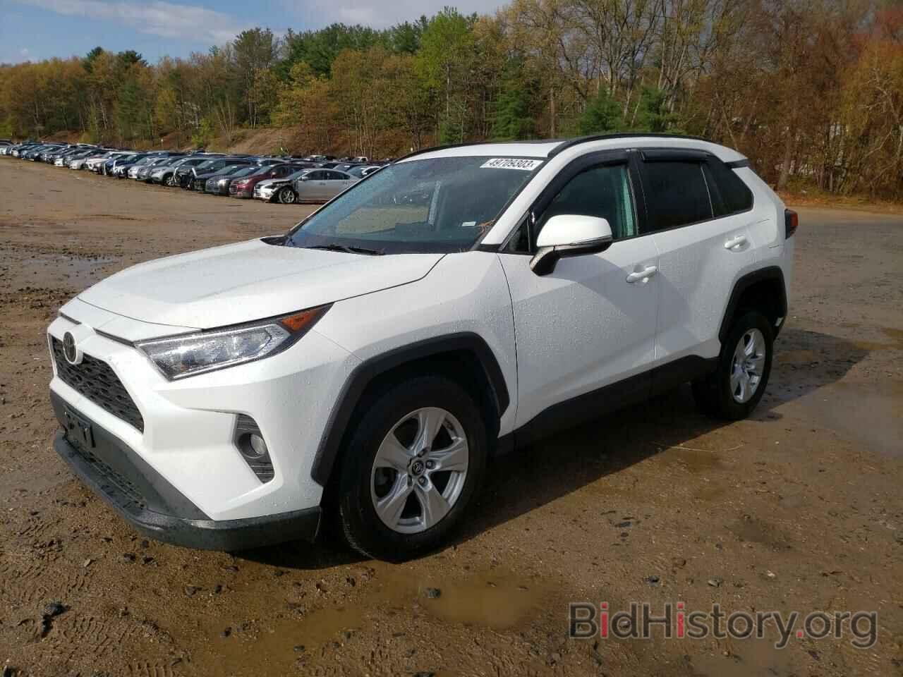 Photo 2T3P1RFV5KC005438 - TOYOTA RAV4 2019