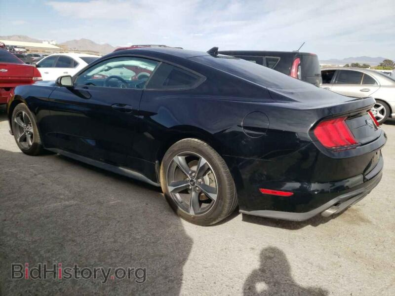 2021 Ford ALL MODELS (VIN 1FA6P8TH1M5115498) — фото 2 из 12