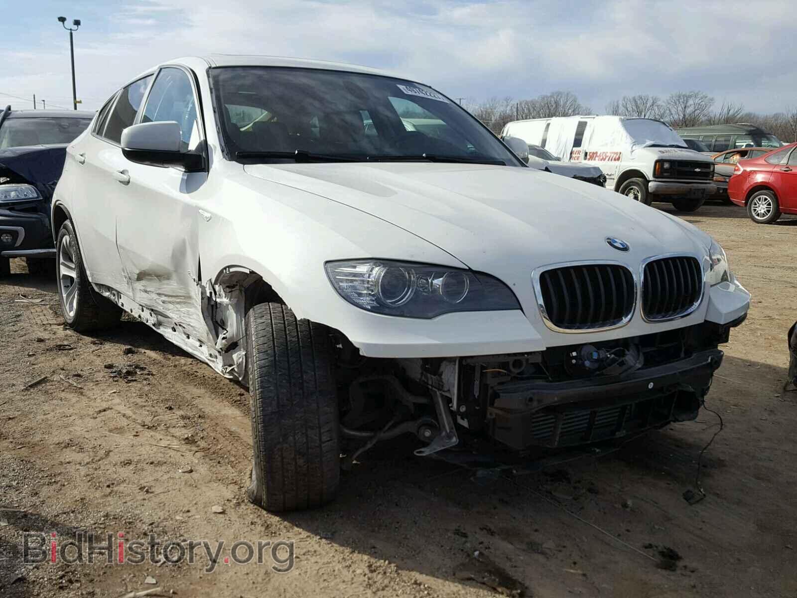 Photo 5UXFG2C50E0H11103 - BMW X6 2014