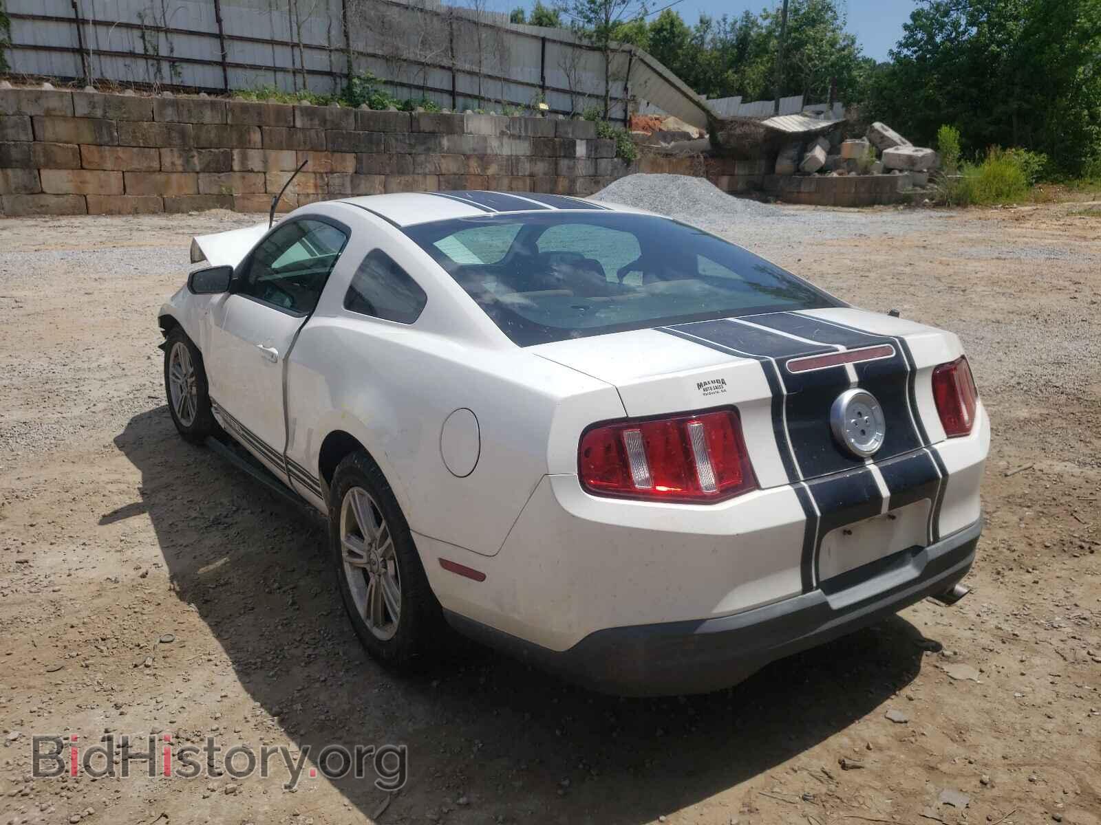 2010 FORD MUSTANG - VIN: 1ZVBP8AN0A5162015 - Фото 3