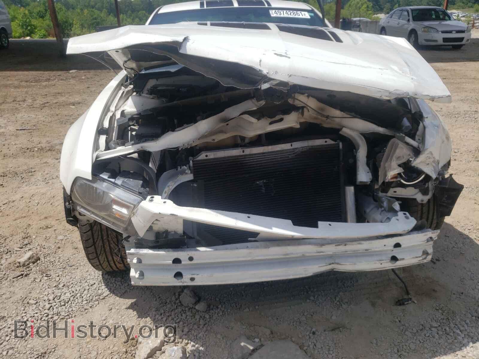2010 FORD MUSTANG - VIN: 1ZVBP8AN0A5162015 - Фото 9