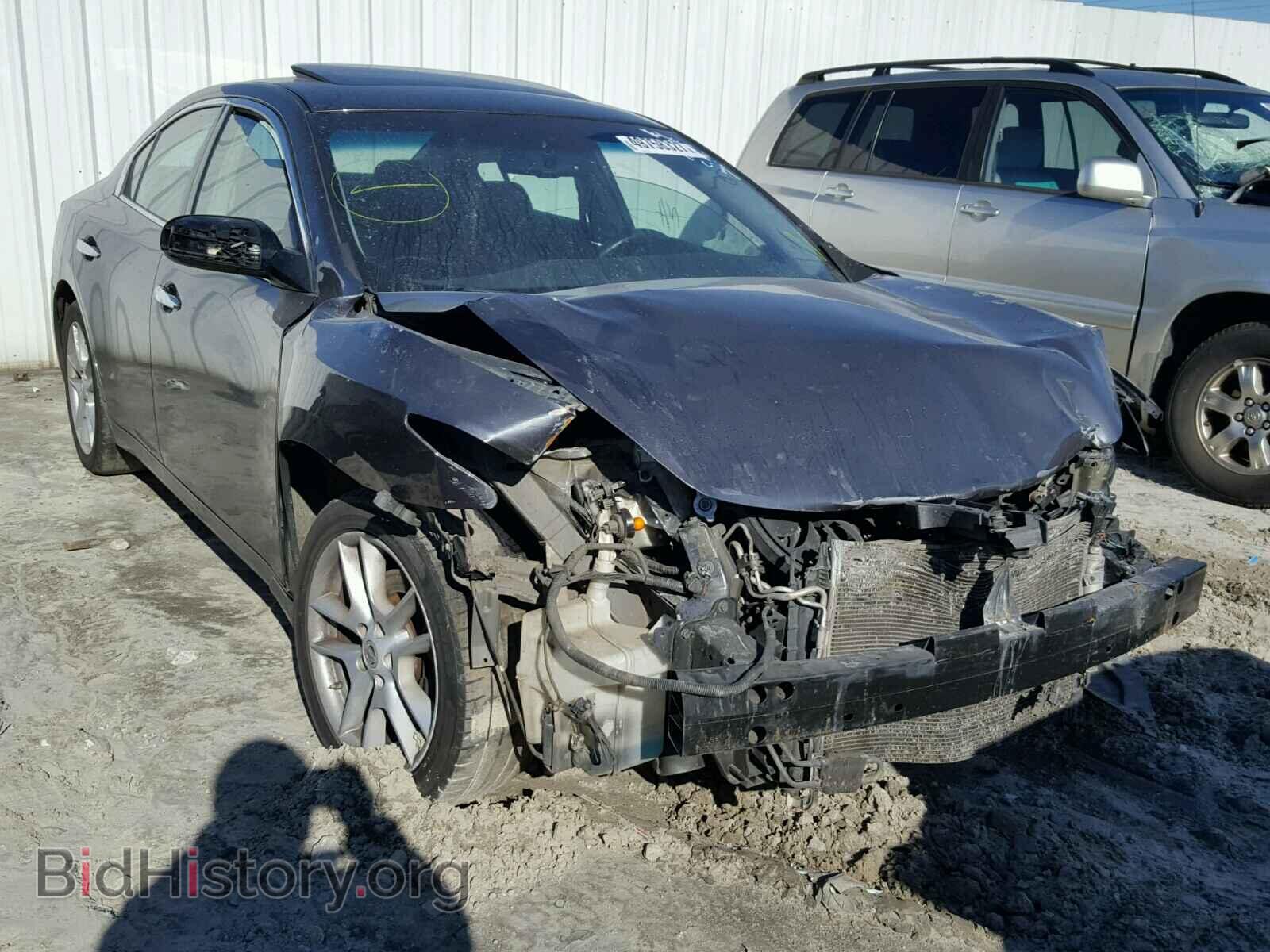 Photo 1N4AA5AP7BC810386 - NISSAN MAXIMA S 2011