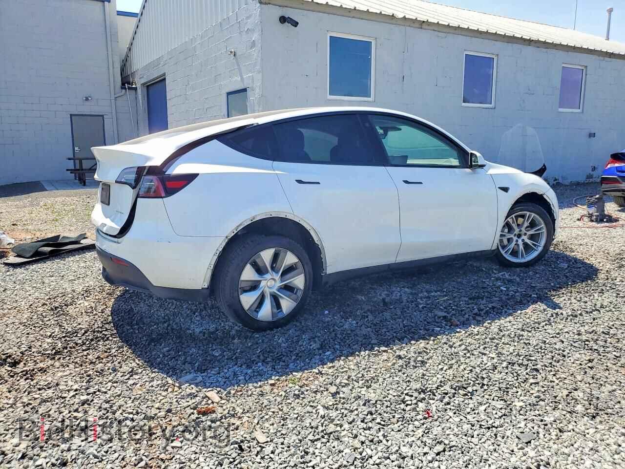 2023 TESLA MODEL Y - VIN: 7SAYGDEE4PF622061 - Фото 3