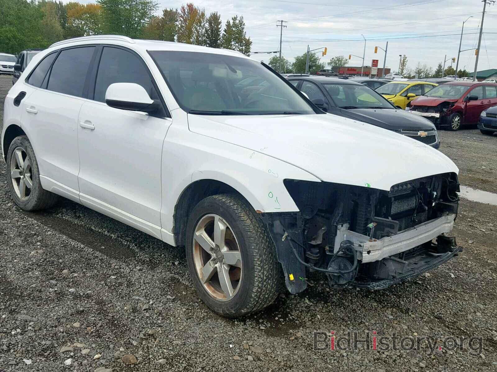 Photo WA1KK68R99A036327 - AUDI Q5 2009