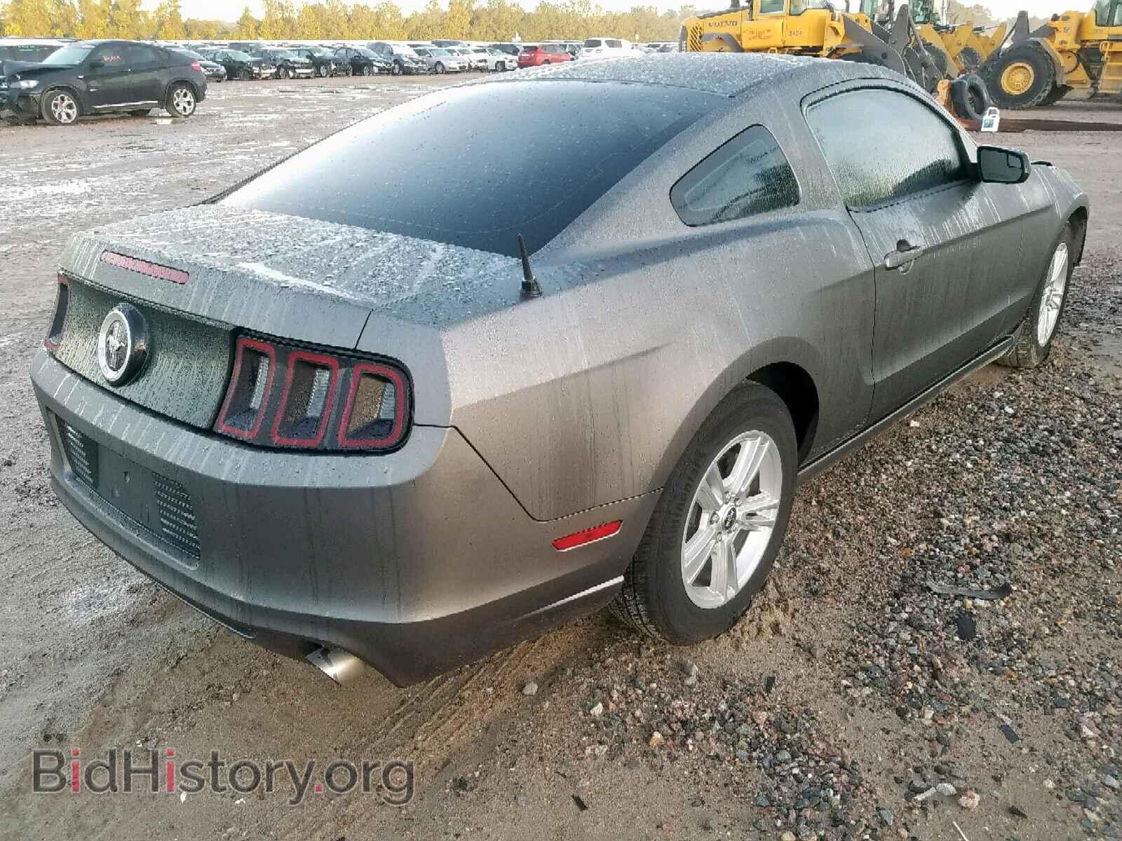 2013 FORD MUSTANG - VIN: 1ZVBP8AM7D5206233 - Фото 4