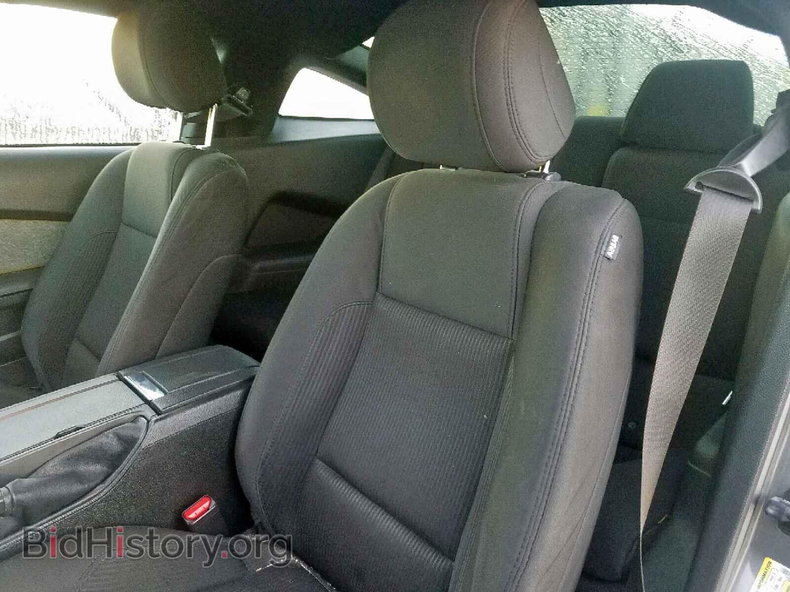 2013 FORD MUSTANG - VIN: 1ZVBP8AM7D5206233 - Фото 9