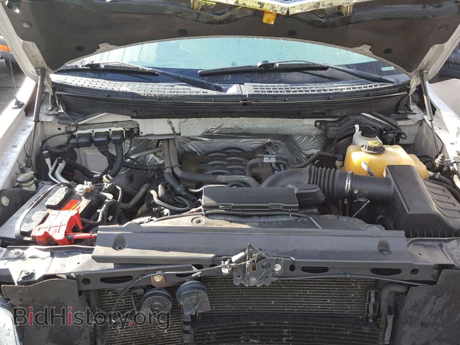 2011 FORD F150 SUPER - VIN: 1FTFX1EF9BFA02581 - Фото 7