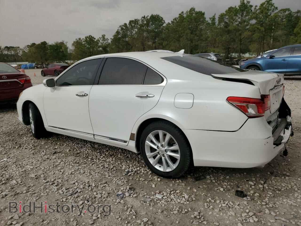 2011 LEXUS ES350 - VIN: JTHBK1EG7B2424330 - Фото 2