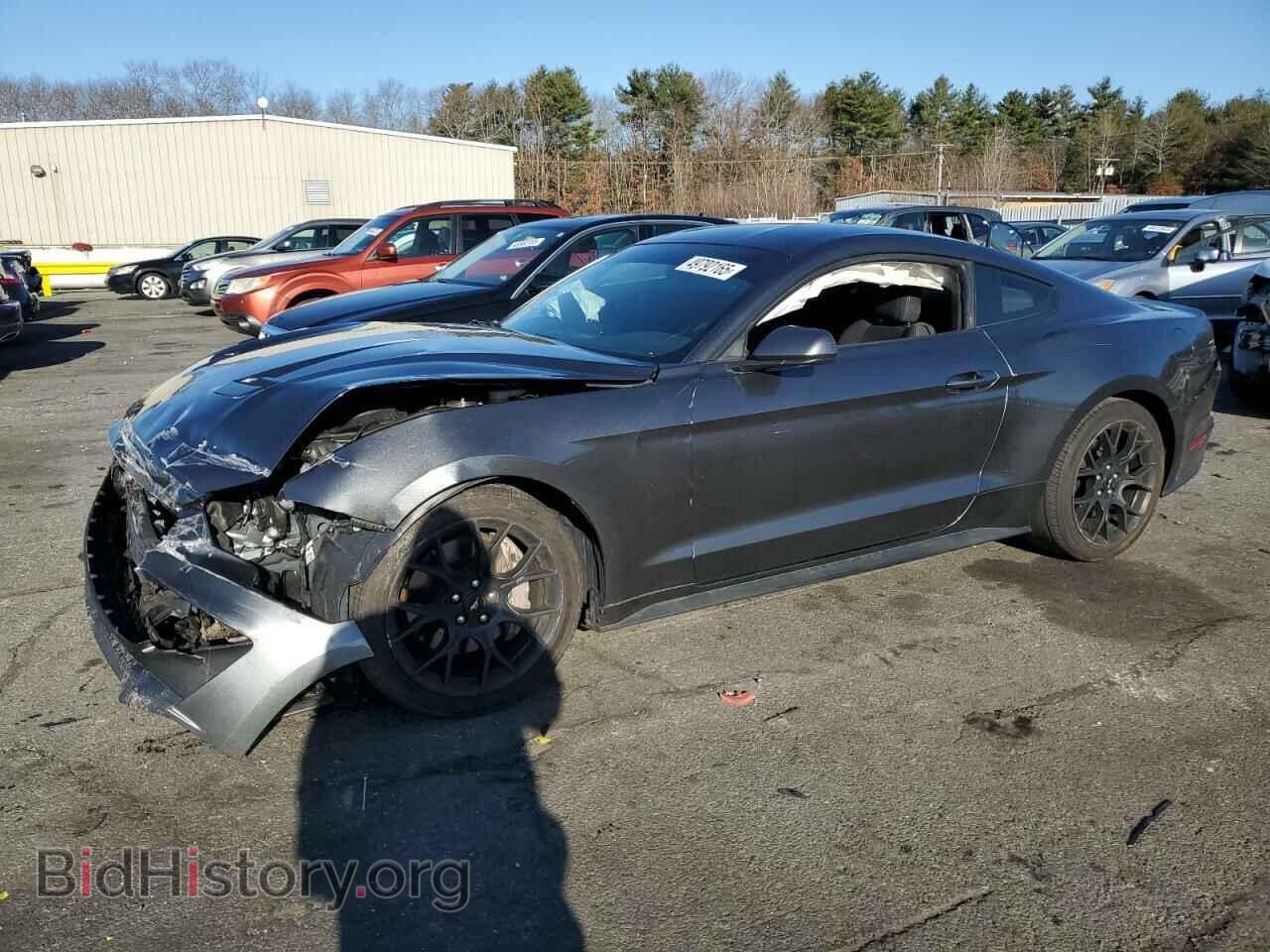 Фотография 1FA6P8TH9K5180791 - FORD ALL Models 2019
