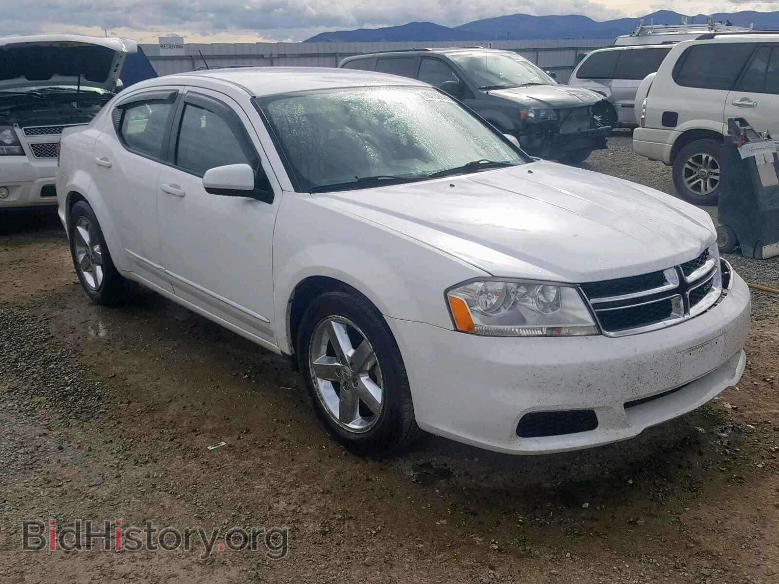 Photo 1B3BD1FB0BN593443 - DODGE AVENGER 2011