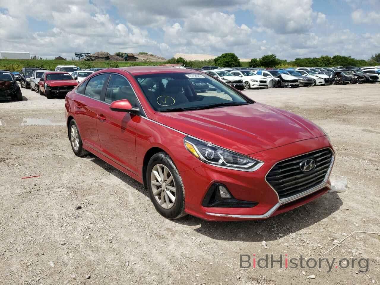 Photo 5NPE24AF0KH799892 - HYUNDAI SONATA 2019