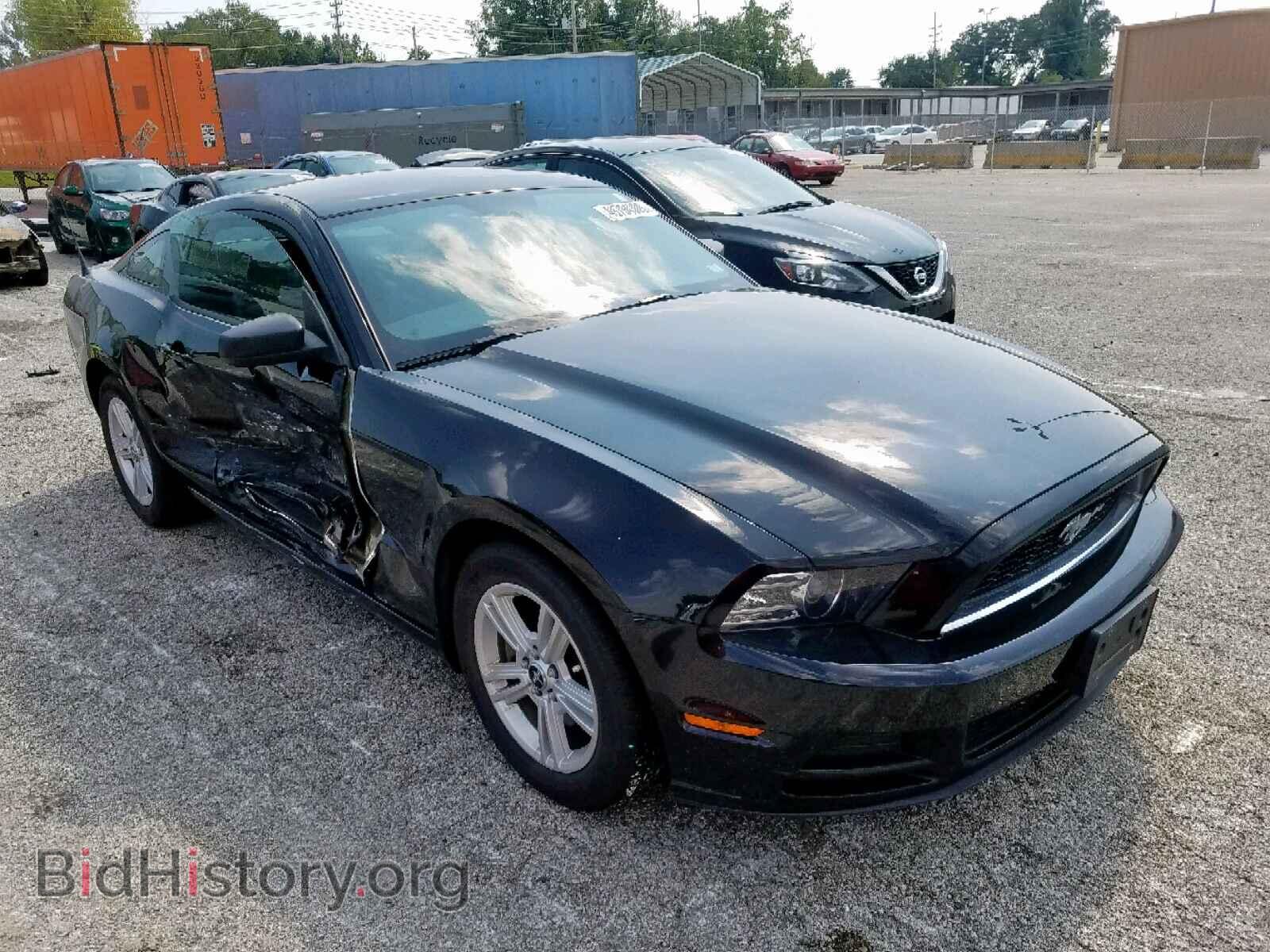 Фотография 1ZVBP8AM9D5279300 - FORD MUSTANG 2013
