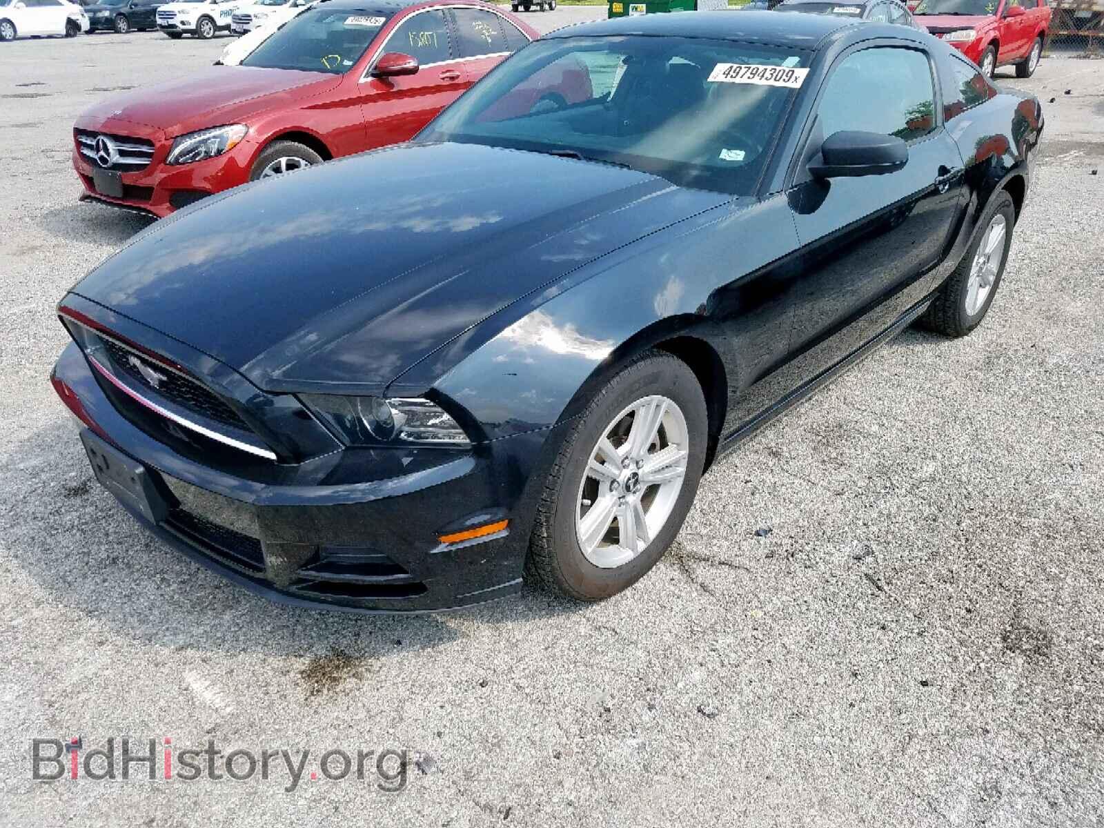 2013 FORD MUSTANG - VIN: 1ZVBP8AM9D5279300 - Фото 2
