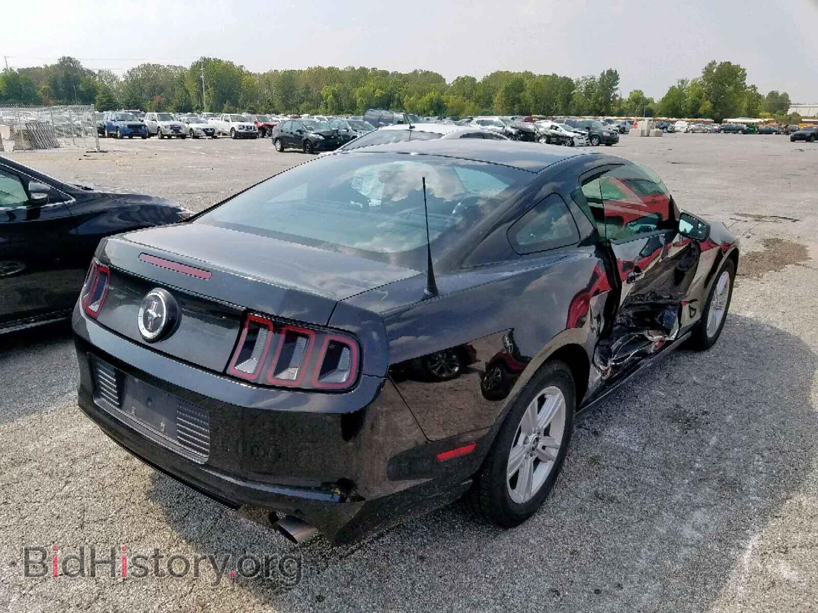 2013 FORD MUSTANG - VIN: 1ZVBP8AM9D5279300 - Фото 4