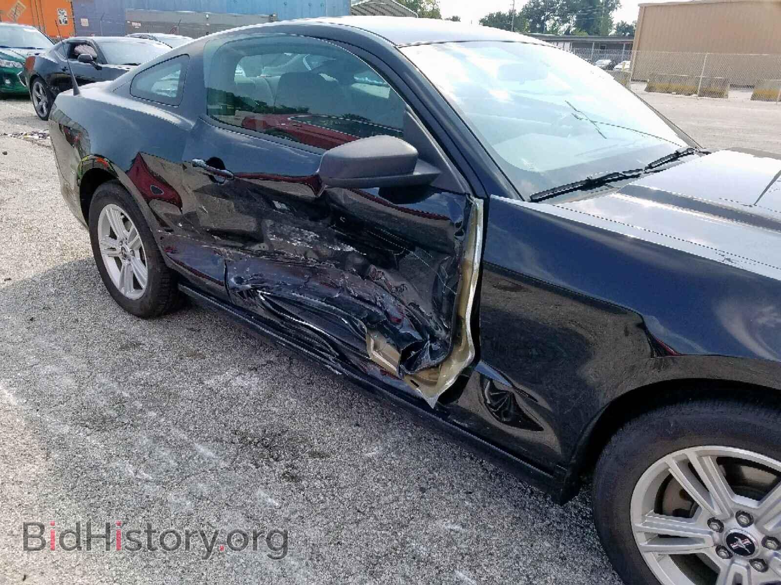 2013 FORD MUSTANG - VIN: 1ZVBP8AM9D5279300 - Фото 9