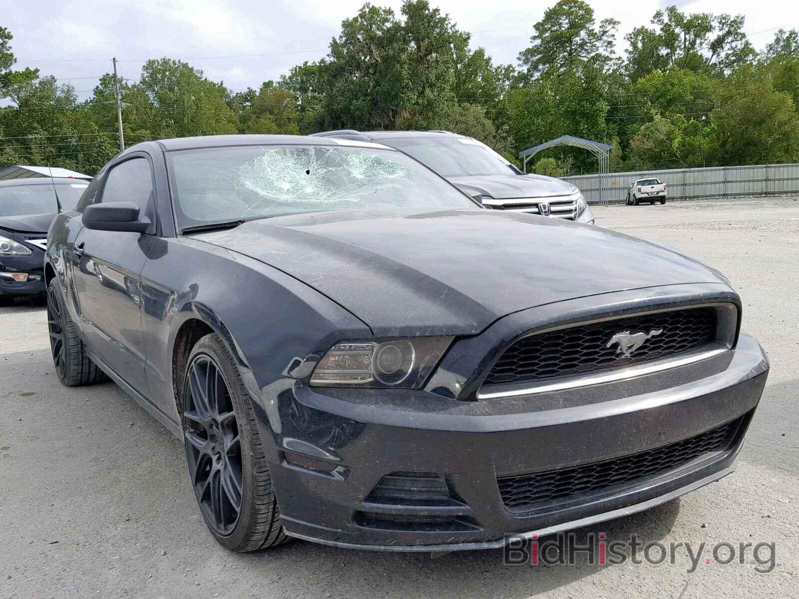 Photo 1ZVBP8AM5D5240333 - FORD MUSTANG 2013
