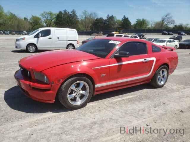 Photo 1ZVHT82H075223631 - FORD MUSTANG 2007