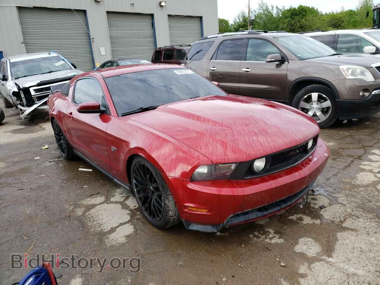 2010 FORD MUSTANG - VIN: 1ZVBP8CH0A5153905 - Фото 4