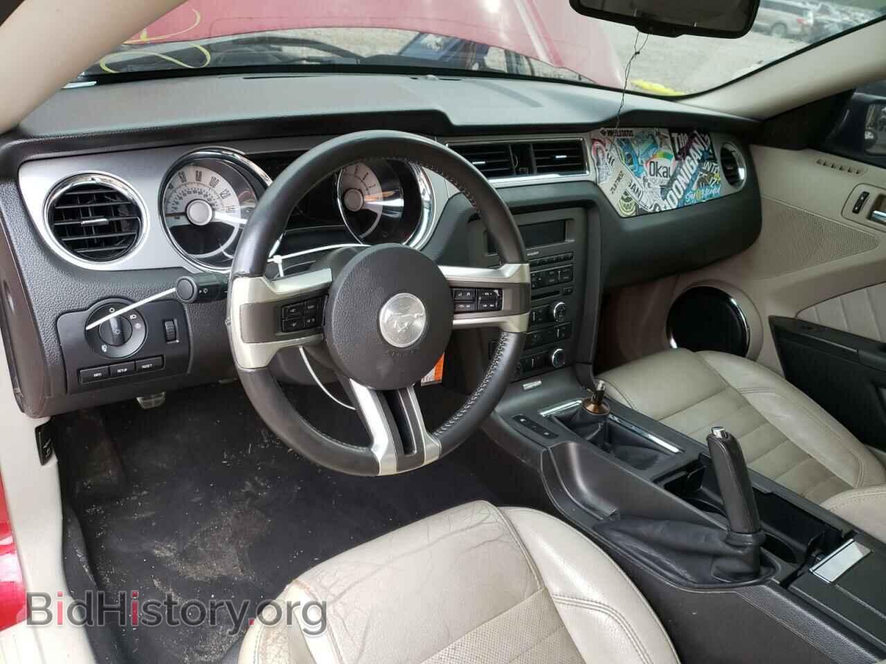 2010 FORD MUSTANG - VIN: 1ZVBP8CH0A5153905 - Фото 8