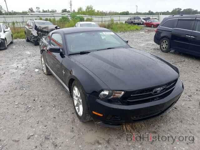 Photo 1ZVBP8AN0A5164377 - FORD MUSTANG 2010