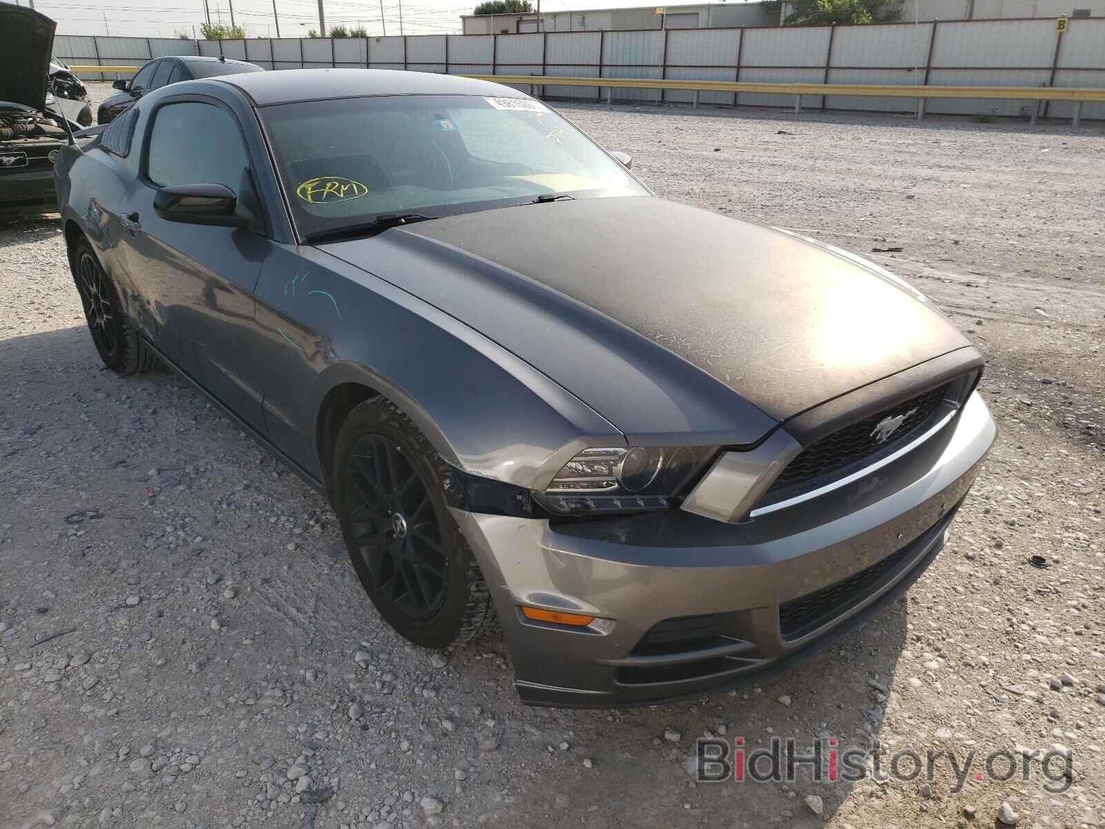 Photo 1ZVBP8AM7E5276896 - FORD MUSTANG 2014