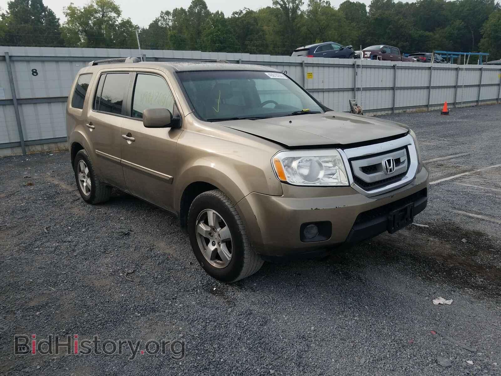 Фотография 5FNYF4H68BB038615 - HONDA PILOT 2011