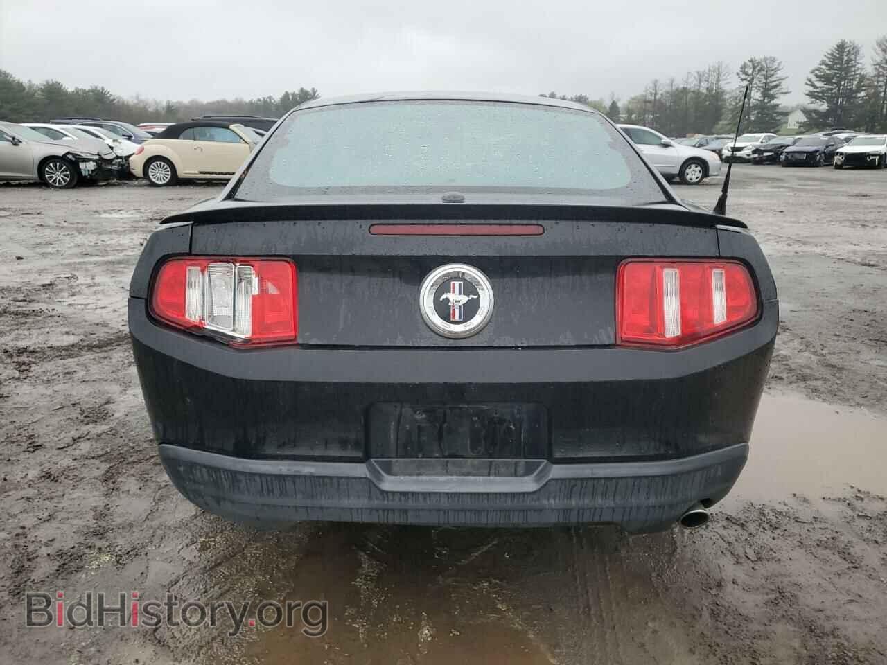 2010 FORD ALL Models - VIN: 1ZVBP8AN3A5112855 - Фото 6