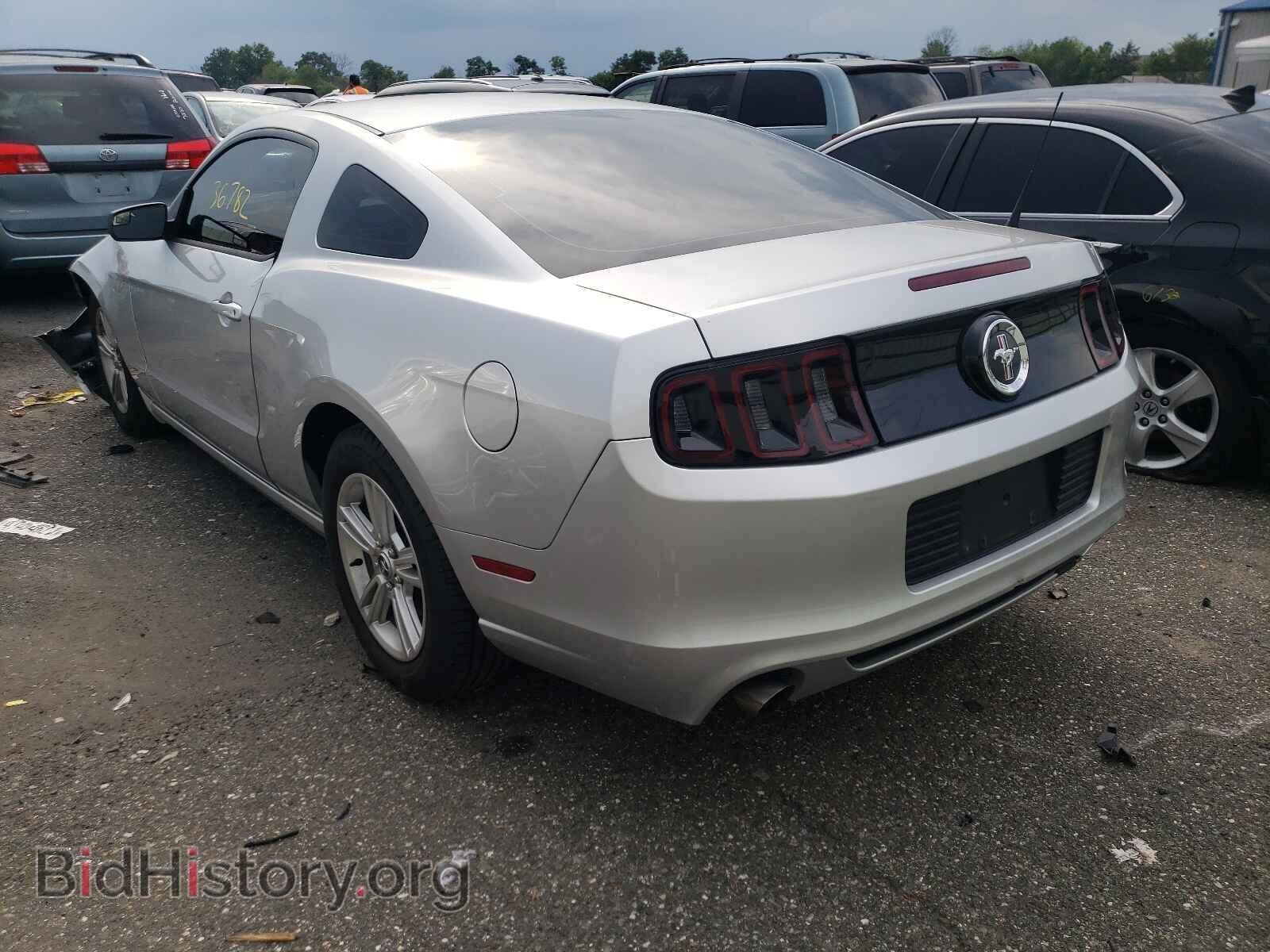 2014 FORD MUSTANG - VIN: 1ZVBP8AM5E5312794 - Фото 3