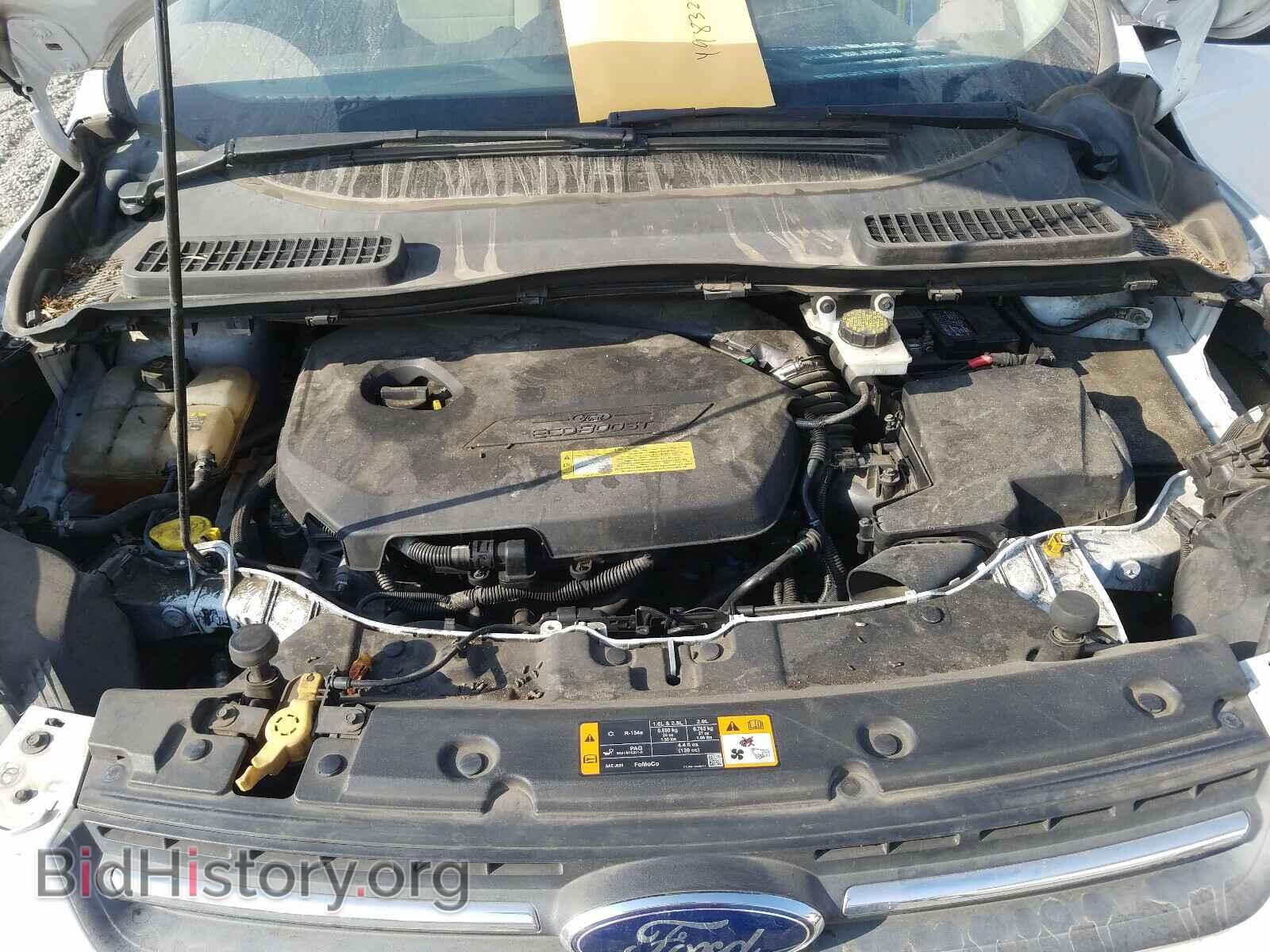 2013 FORD ESCAPE - VIN: 1FMCU0GX2DUB33342 - Photo 7