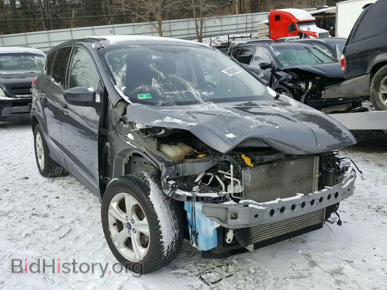 Фотография 1FMCU0GX7EUD73438 - FORD ESCAPE 2014