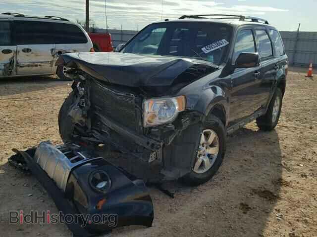 2011 FORD ESCAPE - VIN: 1FMCU0EG1BKC30785 - Фото 2