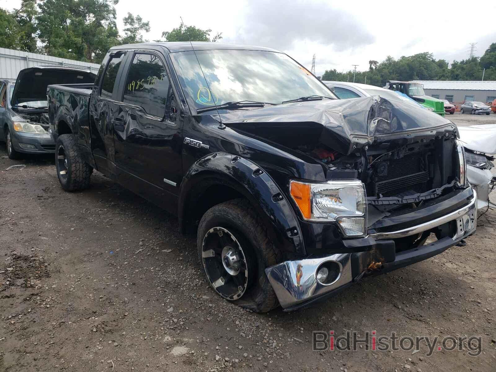 Photo 1FTFX1ET8BFD05597 - FORD F-150 2011