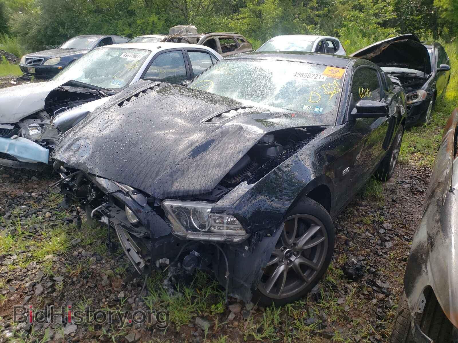 2013 FORD MUSTANG - VIN: 1ZVBP8CF5D5230819 - Фото 2