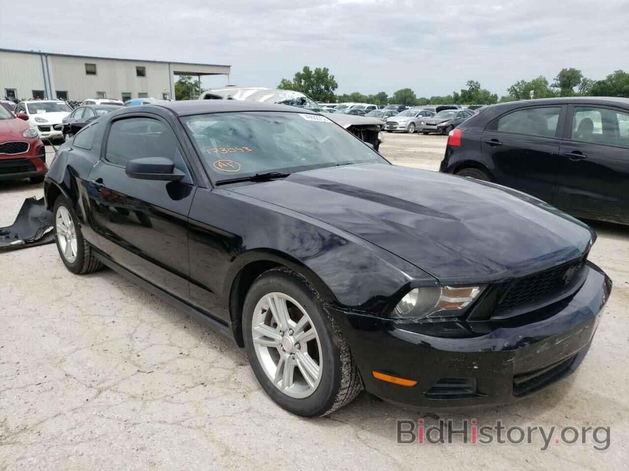 Photo 1ZVBP8AN5A5173043 - FORD MUSTANG 2010